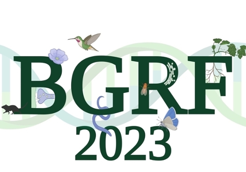BGRF 2023