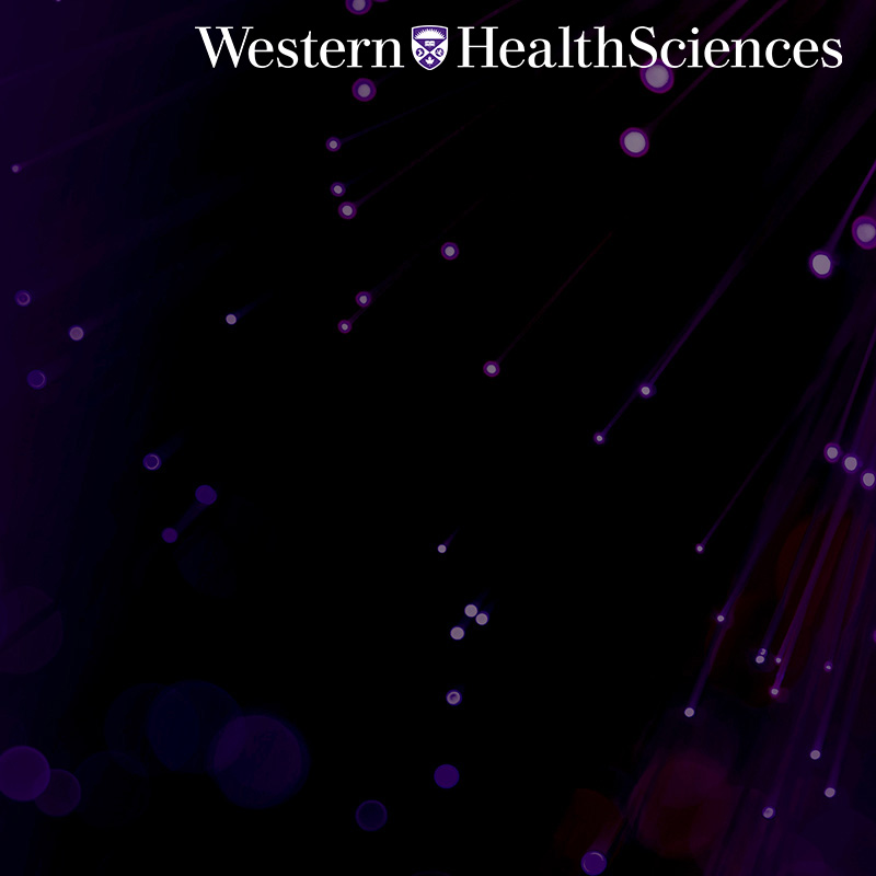 Purple lights  interspersed across a dark background.