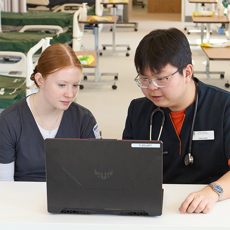 Two nursing students working on a laptop.