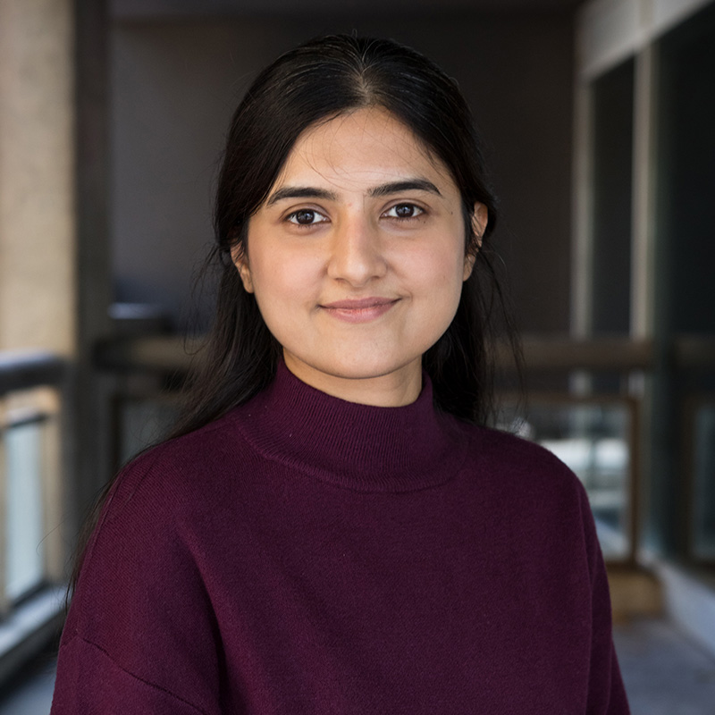 Anam Shahil-Feroz