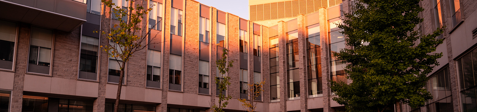 ��ҹ����վ campus at sunset.