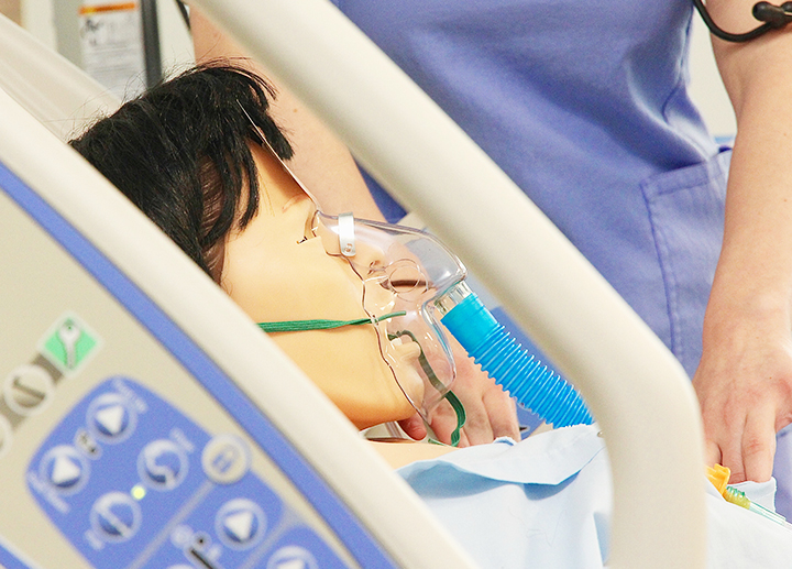 A closeup view of a manakin wearing a respirator.