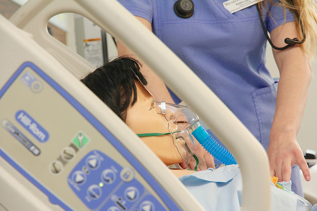 Simulated Education Suite