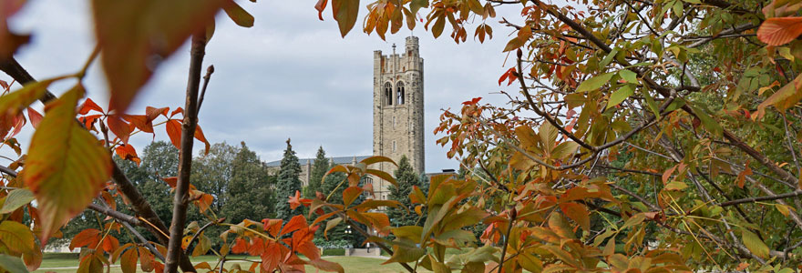 summer on campus