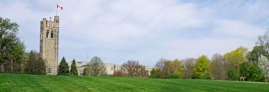 University College Hill with deer