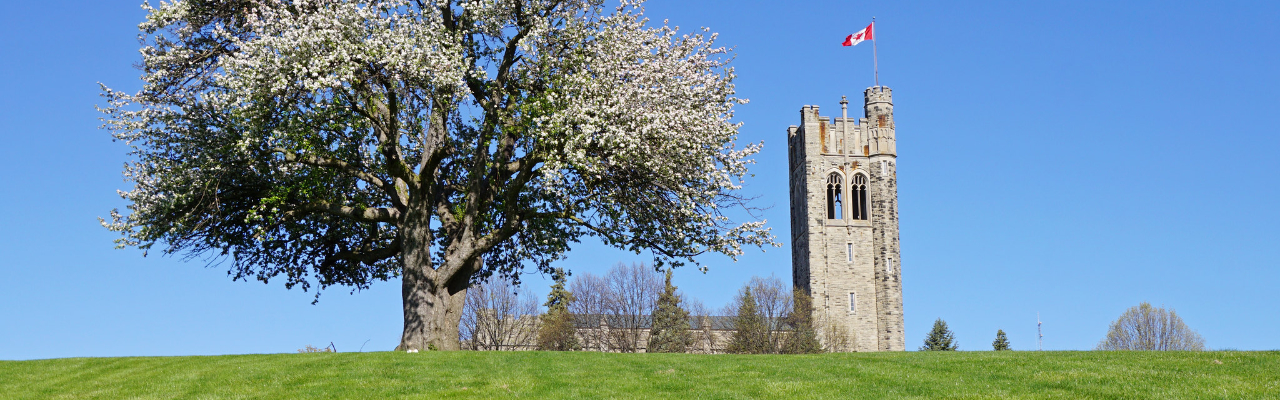 A blossoming apple tree beside Western's University College tower