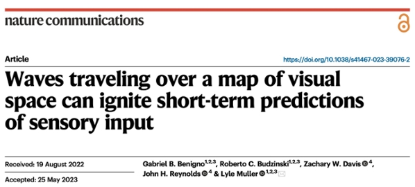 Image shows article title:  Waves traveling over a map of visual space can ignite short-term predictions of sensory input