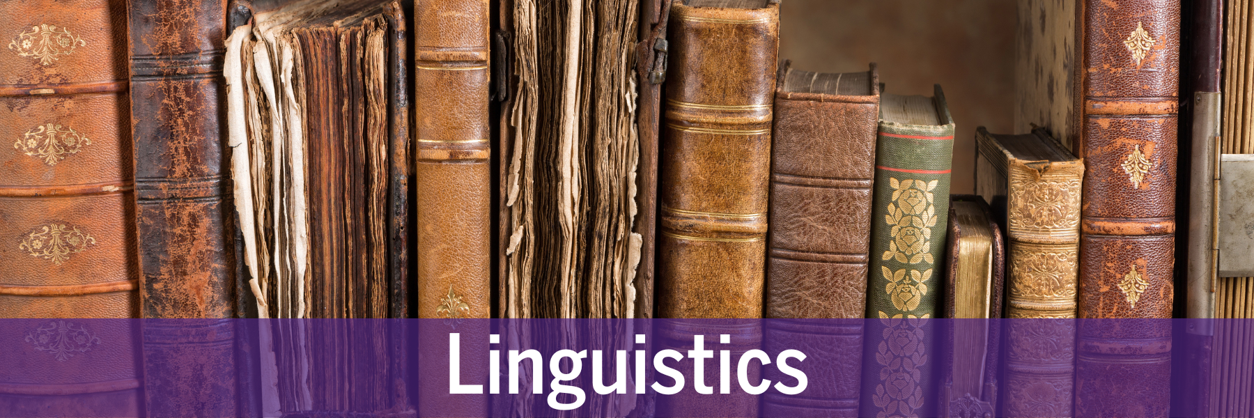 Linguistics-1.png