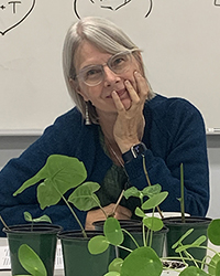 Aara Suksi portrait