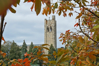 Postdoctoral, Graduate, & Research Assistant