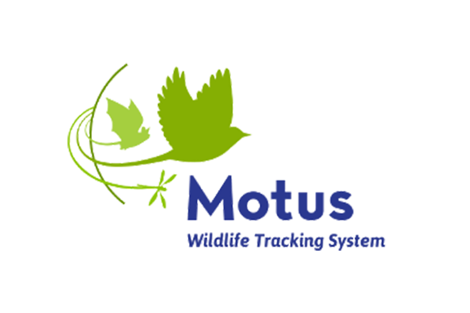 MOTUS logo with dragonfly, bat and bird illustration