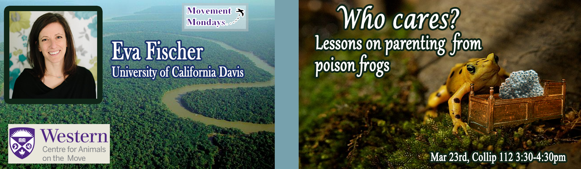 Eva Fischer MM banner