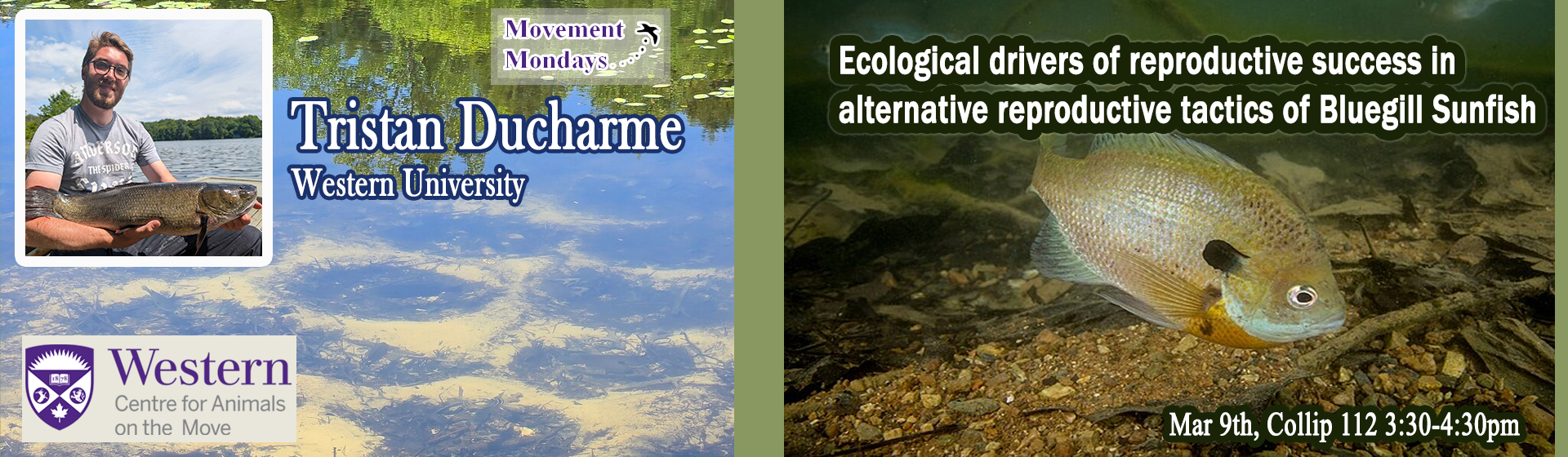 tristan ducharme banner