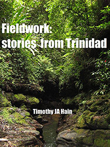 Book cover of Fieldwork: stories from Trinidad by Timothy JA Hain