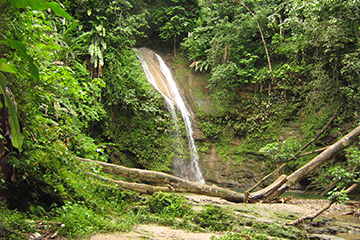Book cover of Fieldwork: stories from Trinidad by Timothy JA Hain