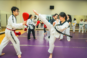 taekwondo sport recreation description university clubs