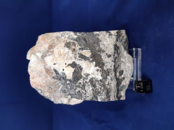 Suffel Sample 30470 - Columbite-tantalite mineralization