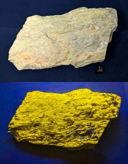2632_Scapolite_Dana_Split_415.jpg