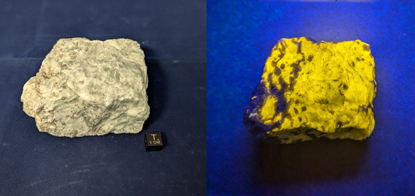 8800_Scapolite_Dana_Split_415.jpg