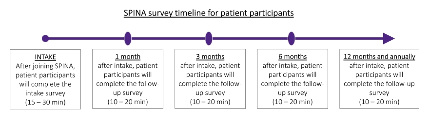 spina patient survey timeline