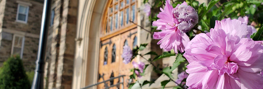 Flowers on campus