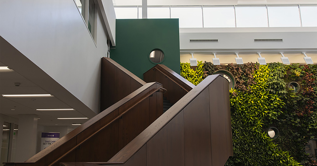 Thames Hall: A return to connection - School of Kinesiology - Western ...