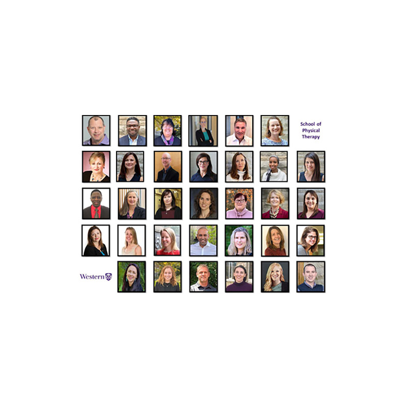 A chart containing images of the School's faculty.