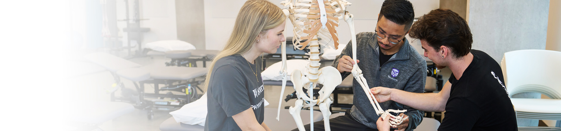 Physical Therapy students examining a model skeleton's wrist.