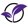 icon of two leaves