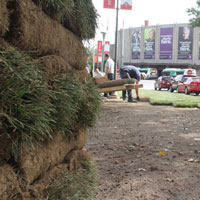 Landscape services employees laying sod