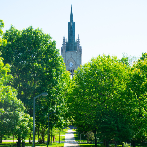 a picture of middlesex college surrounded by trees
