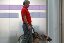 Person with guide dog