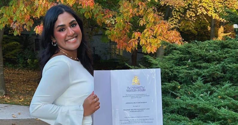 External News Article Image