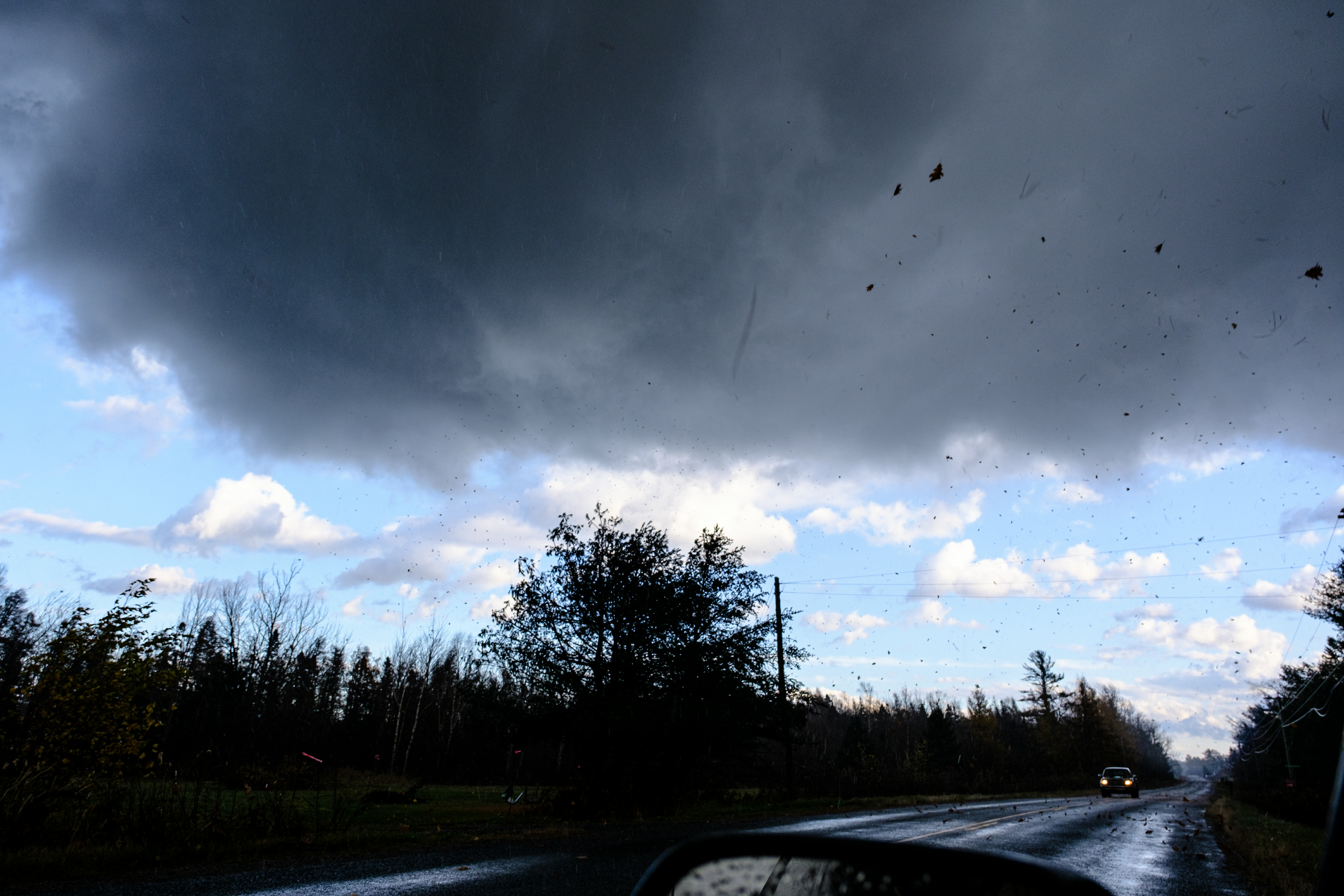 1Nov2024_NBtor_Robins-photo.png