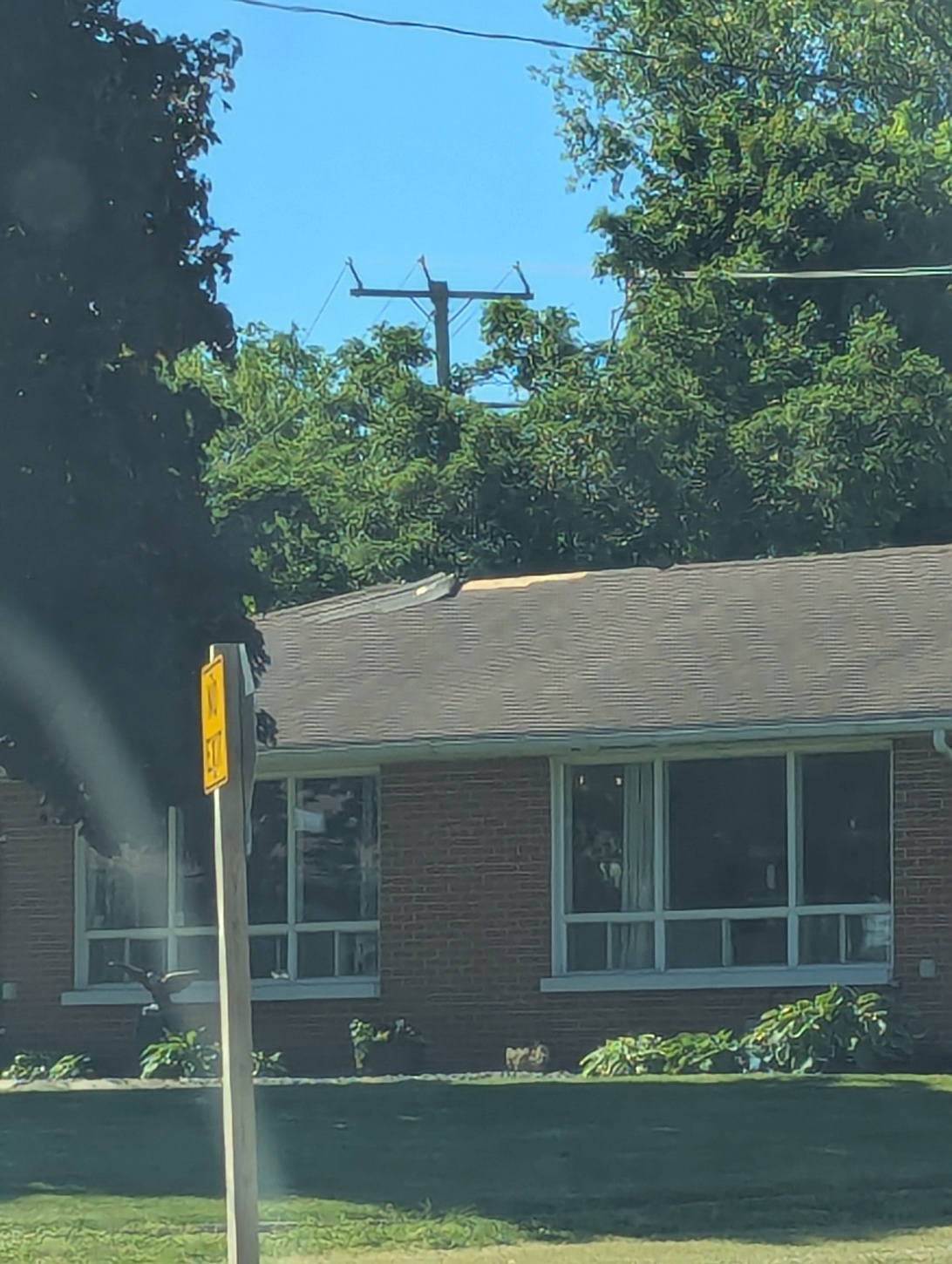 Damage photo