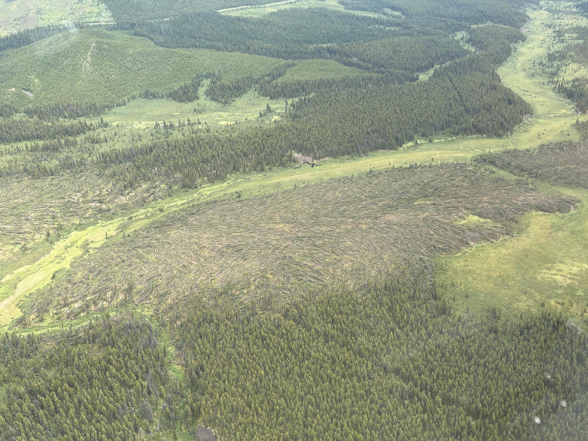 Damage photo