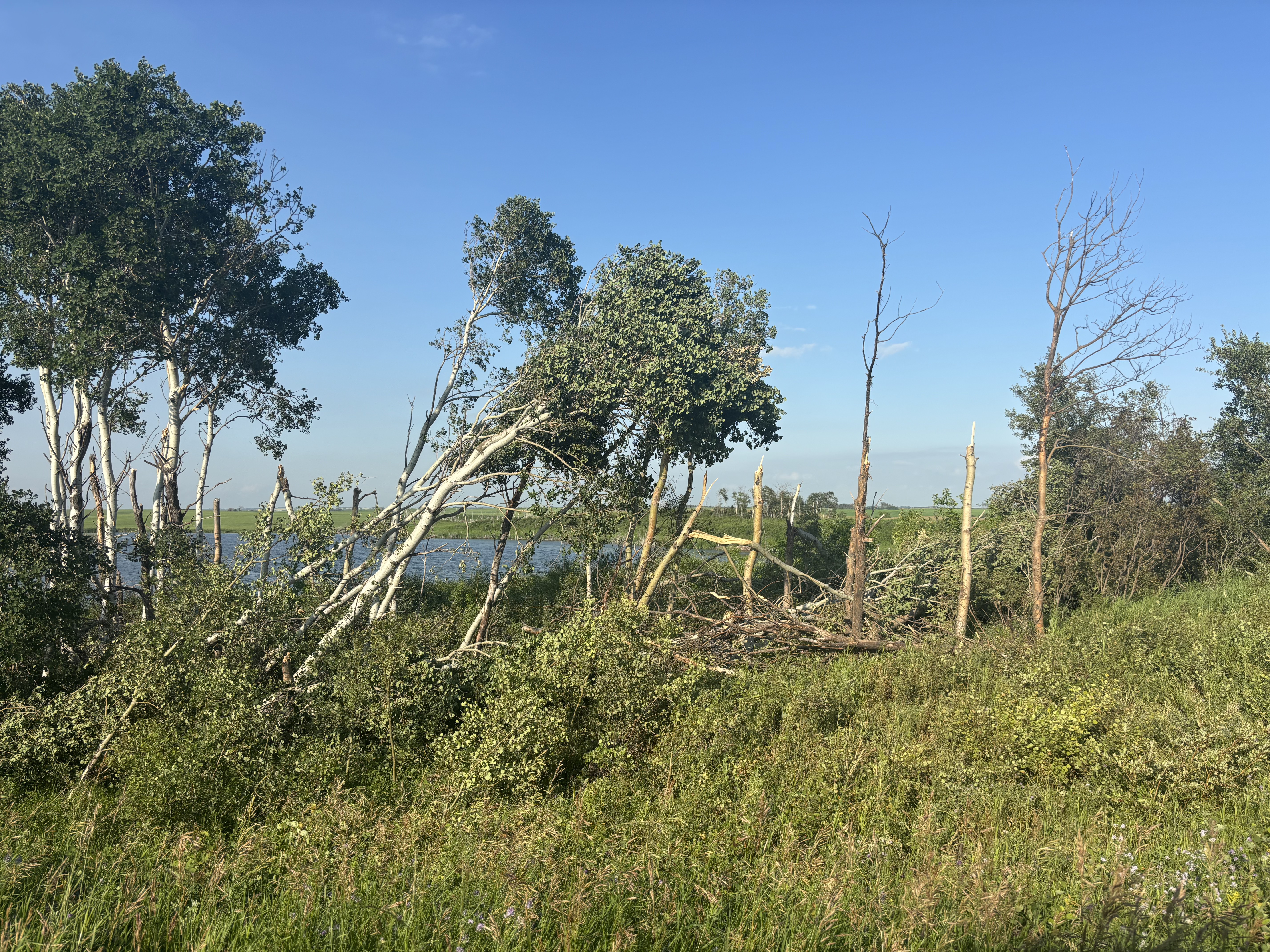 Damage photo