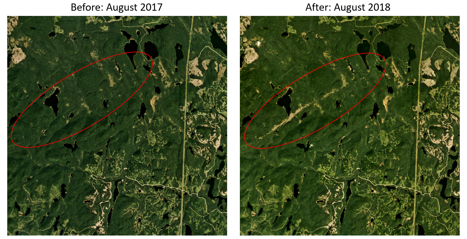 Satellite images