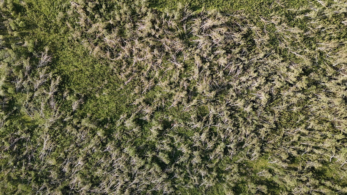 Damage photo