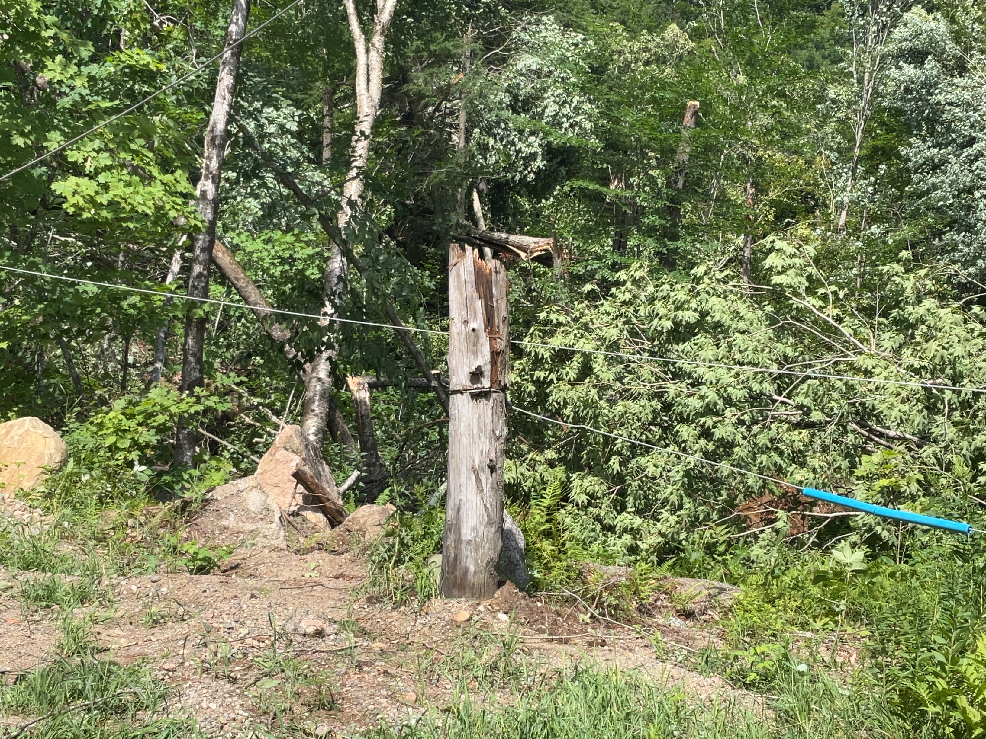 Damage photo
