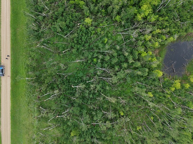 Hubbard damage