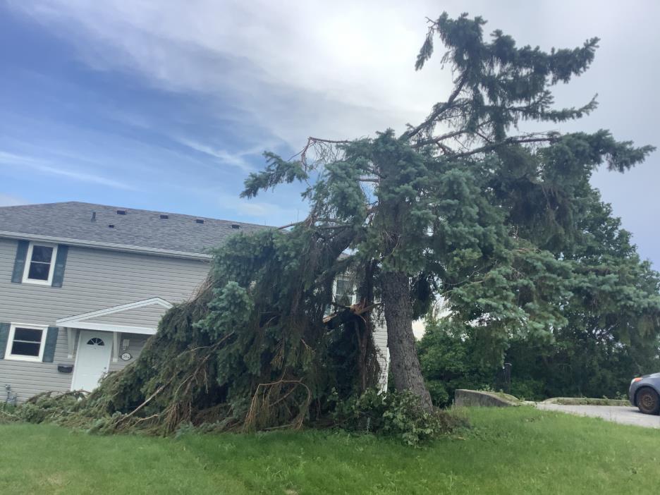 Damage photo