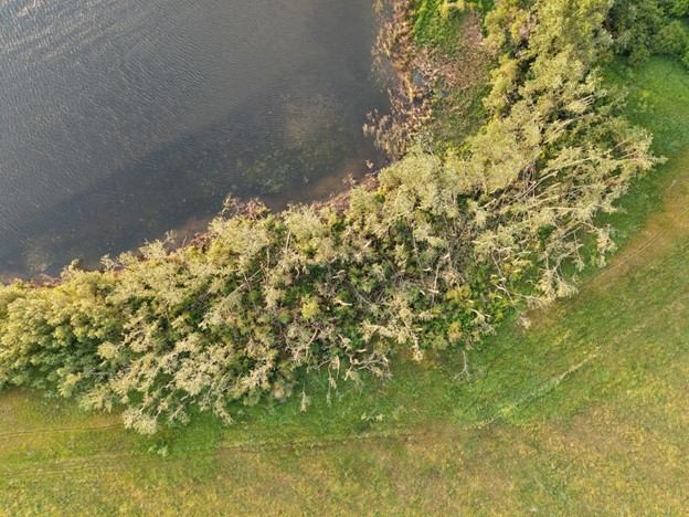 Kronau damage