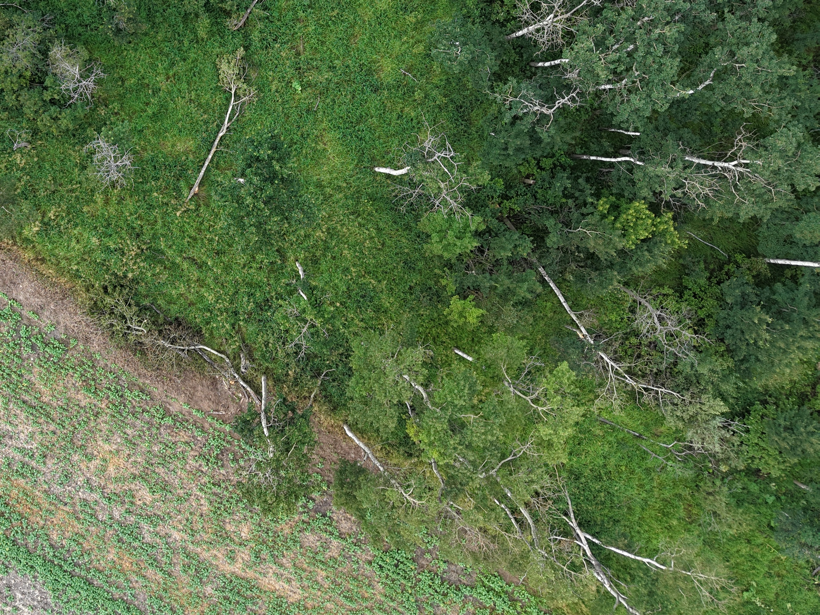 Damage photo