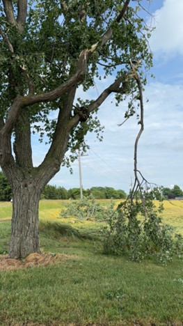 Lucan damage