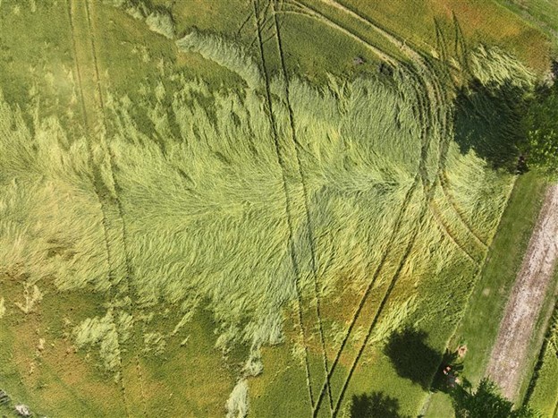 Lucan damage