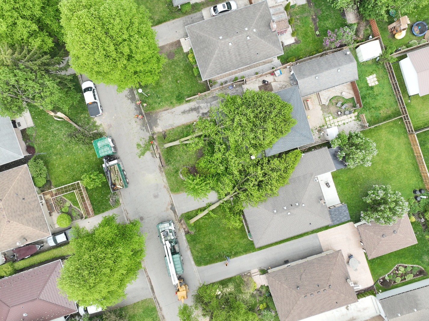 Downburst damage photo