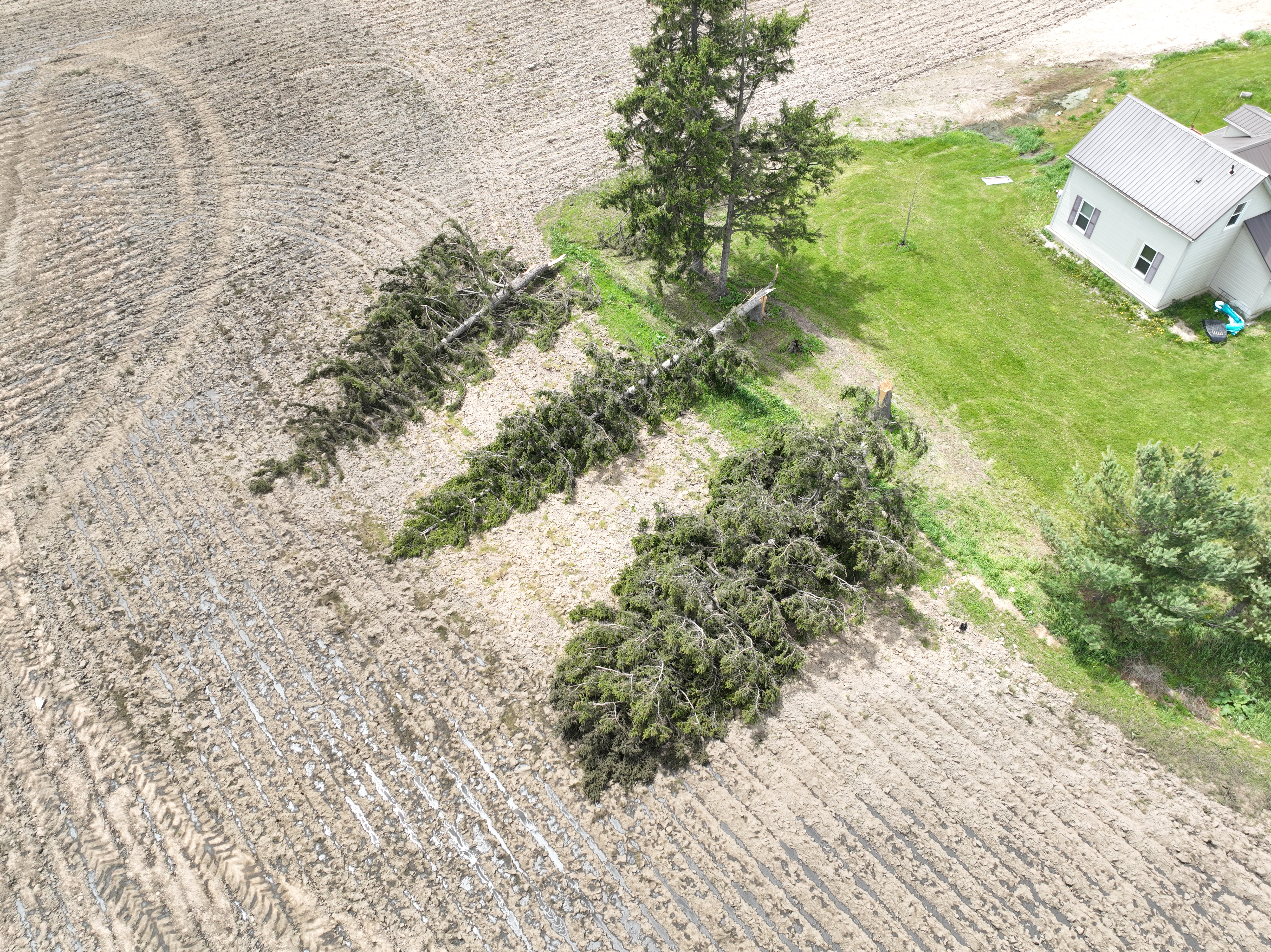Tornado damage