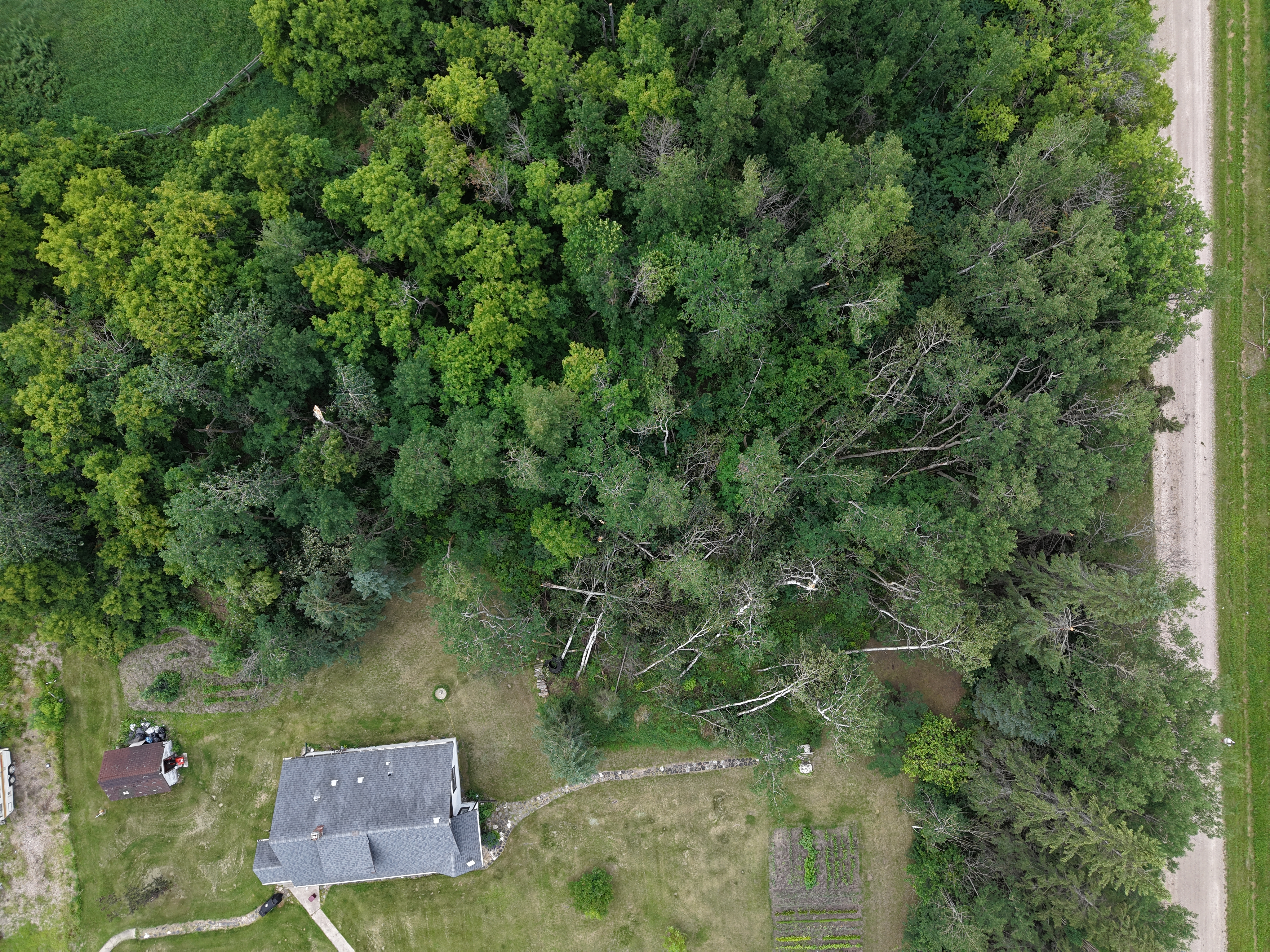 Damage photo
