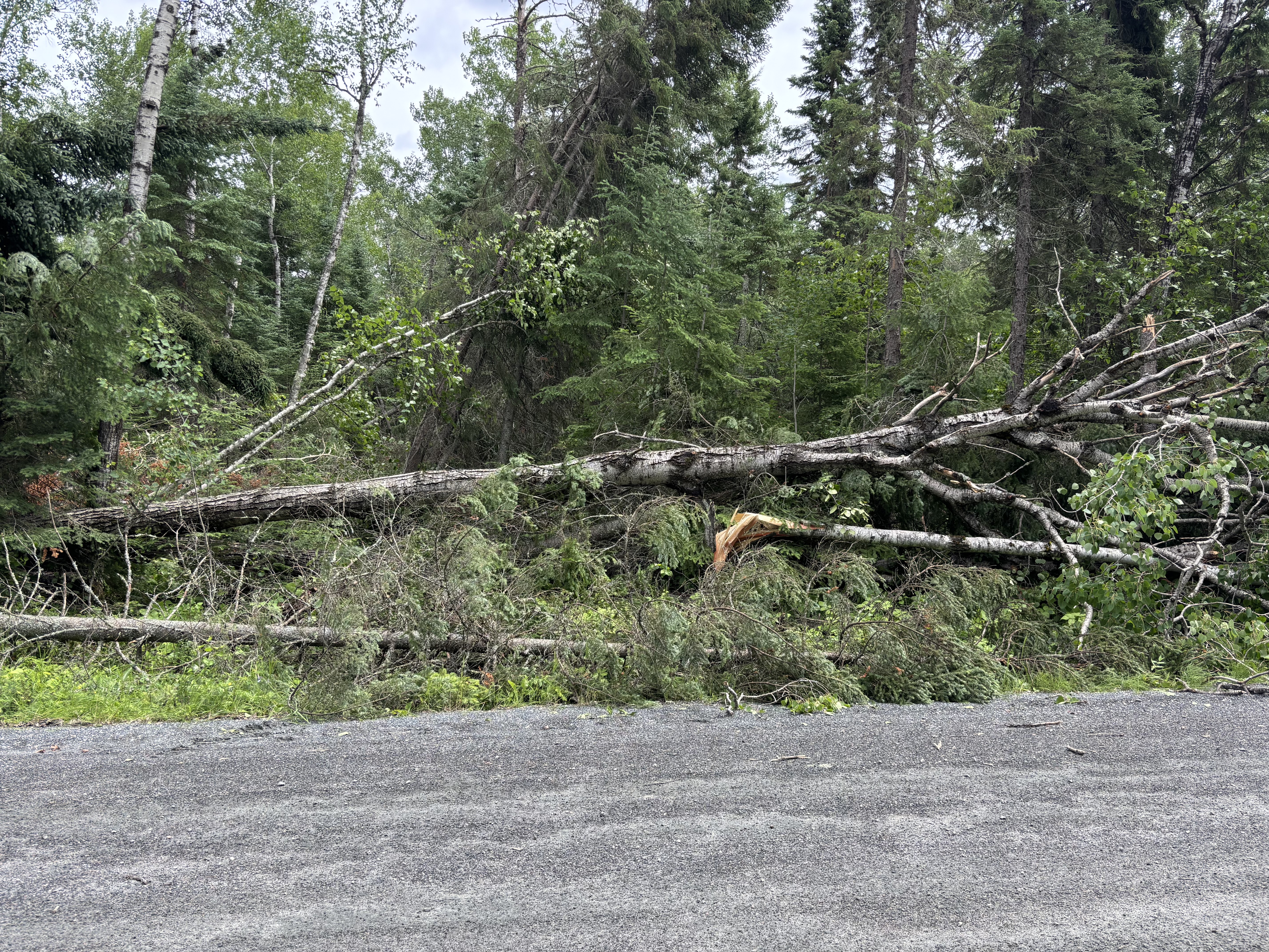 Damage photo